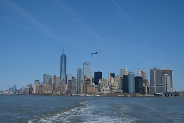 View at Manhattan downtown with seagull
