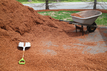 wheelbarrow and shovel with mulch pile for spring gardening work