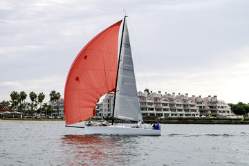 Sailboat on the Bay