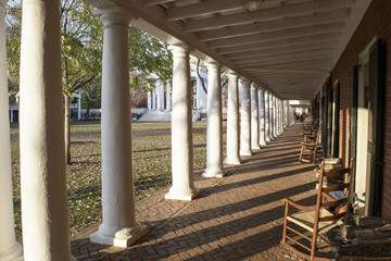The Pavilions on Jefferson's Lawn - obrazy, fototapety, plakaty