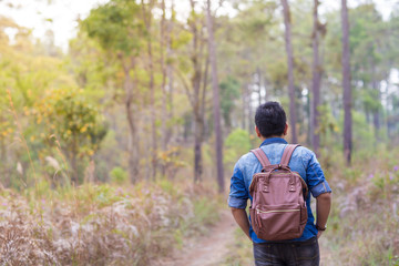 A male traveller with his sunglasses and backpack in the pine forest, Thailand