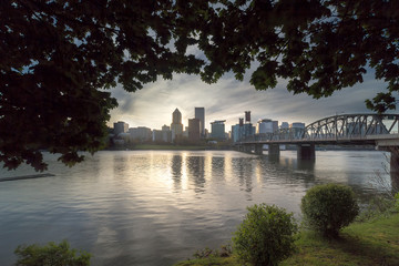 Portland Skyline Under the Trees at Sunset