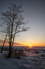 Fototapeta na wymiar Winter evening landscape Snowy rocky beach in sunset lights.