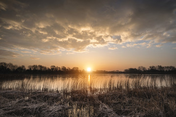 Fototapeta na wymiar Stunning colorful Winter sunrise over reeds on lake in Cotswolds in England