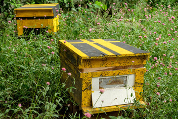 Beekeeping, agriculture, rural life.