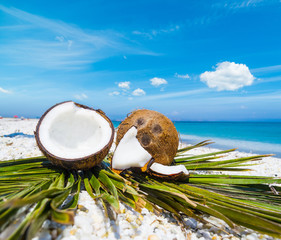 Coconuts halves on palm leaves