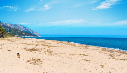 Is Orrosas beach in spring