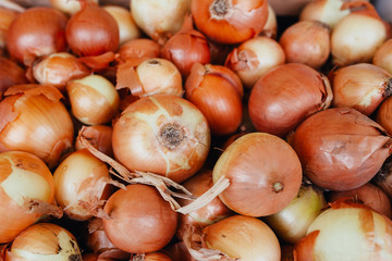 Big onion sell in the market