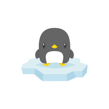 Cute penguin vector