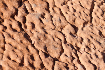 Detail of Sandstone