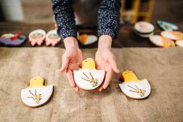 Female hands holds sweet cookies with pictures