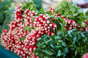 Radish on farmer market in Paris, France