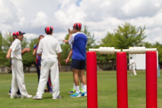 cricket wickets an players