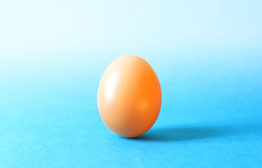 a solitary egg