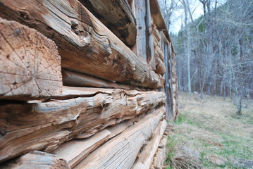 cabin wall