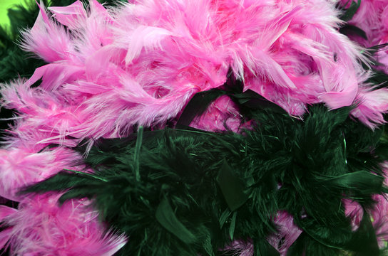 Boas en plumes noires et fuchsias