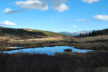 field ponds