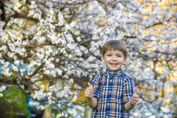 Fototapeta premium toddler boy in spring time near the blossom tree smiling happy boy