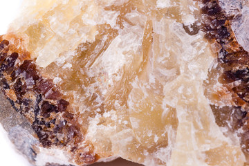 macro mineral stone hedenbergite on a white background
