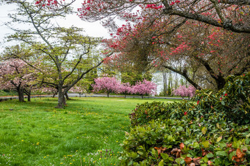 Naklejka premium City Park In Springtime 2