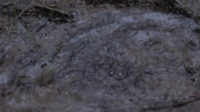 Rain drops dripping in a puddle - slow motion 4K