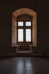 Closed window with stained glass in the Papal palace in Avignon