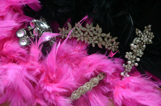 Boas en plumes noires et fuchsias et pinces &agrave; cheveux en strass