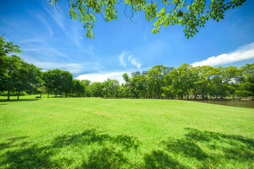 Green grass field in park at city center with blue sky