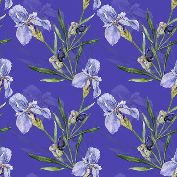 Seamless pattern of irises on a color watercolor background