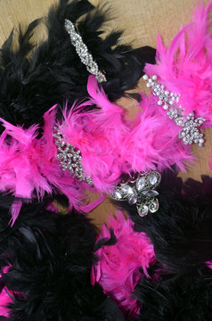 Boas en plumes noires et fuchsias et pinces &agrave; cheveux en strass