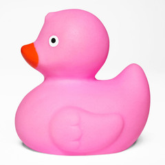 Pink toy rubber duck isolated on white