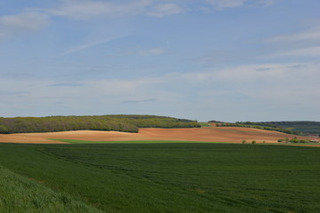Paysage de la Nièvre
