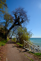 Eingang zur Stubbenkammer bei Sassnitz