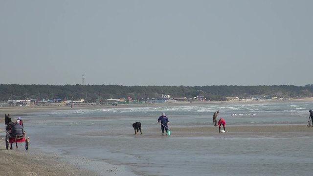 people on beach at low tide on a winter day