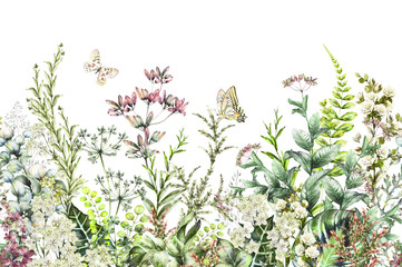 Obrazy  bezszwowa obręcz. Granica z ziołami i dzikimi kwiatami, liśćmi. Ilustracja botaniczna Kolorowe ilustracji na białym tle. Wiosenna kompozycja z motylem