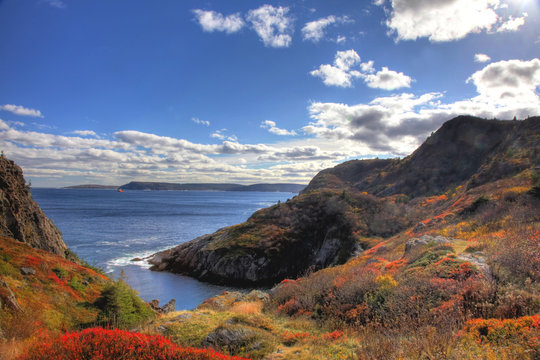 Beautiful Fall Scene Near Quiddi Viddi St Johns Newfoundland