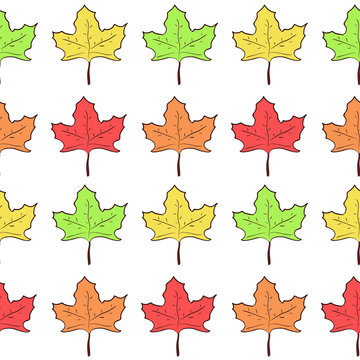 Seamless pattern with rows of cute hand drawn maple leaves, nice nature texture with canadian symbol for textile, wrapping paper, background, cover, surface, design