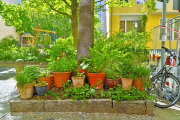 Fototapeta na wymiar Buntes Blumenbeet / Urban Gardening