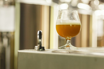 Glass of wheat beer at a brewery