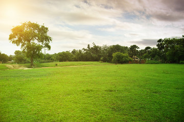 Clear Shiny Weather Landscape