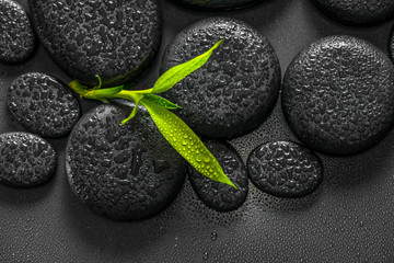 top down closeup beautiful spa composition of green branch bamboo on zen basalt stones with dew