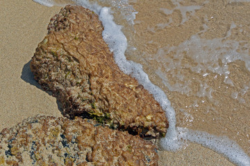Rocks at the water's edge