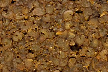 Close-up of a pumpernickel, a german dark rye bread