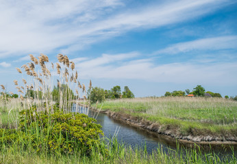 Landscape of the island of Sant Erasmo,lItaly,Lagoon of Venice island Sant Erasmo,22 April 2017...