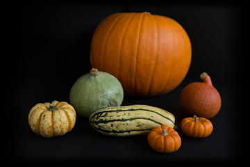 Magnificent seven pumpkins