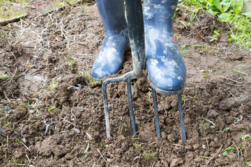 Gardener digging in dirty soil with garden fork wearing in rubber boots
