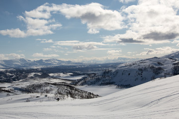 Winter landscape