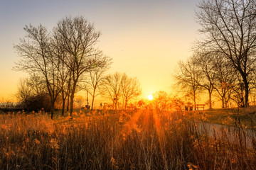 Fototapeta na wymiar Sunrise at Humber Bay Park, Toronto, Ontario, Canada