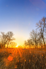 Fototapeta premium Sunrise at Humber Bay Park, Toronto, Ontario, Canada