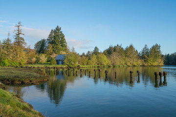 Mud Bay Morning